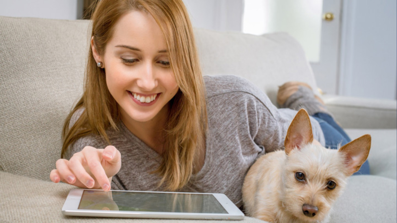 glossary-accounting-money-eye